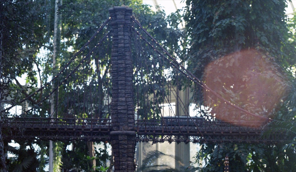 A small suspension bridge among trees